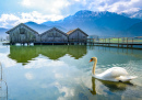 Kochel Lake, Bavaria, Germany