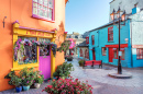 Traditional Colorful Irish Houses