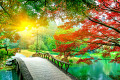 A Small Bridge in a Chinese Garden