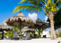 Beach Chairs Under Palm Trees