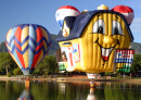 Hot Air Ballooning Groups