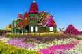 Dubai Miracle Garden