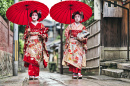 Maiko Geishas in Kyoto, Japan