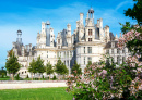 Chambord Castle in Loire Valley, France