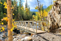 Bridge over Rocky River Bed in a Forest