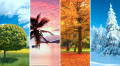 Four Seasons of the Year