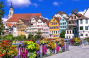 Tübingen, Baden-Württemberg, Germany