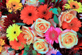 A Colorful Flower Arrangement