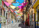 Street in Madrid, Spain