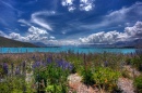 Lake Tekapo, New Zealand