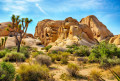 Joshua Tree National Park, California, USA