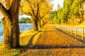 Autumn Leaves on a Walkway, Idaho, USA