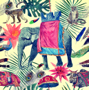 Illustration of Indian Animals and Plants