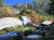 Incredible Waterfall Stream in the Mountains