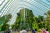 Cloud Forest Dome in Gardens by the Bay, Singapore