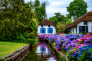 Rural Houses by the Canals, the Netherlands