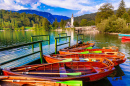 Beautiful Lake Bohinj in Slovenia