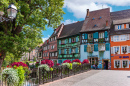 Floral Decoration in the Old Town, Alsace, France