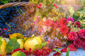 Autumn Composition with Ripe Fruits and Flowers