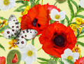 Poppies, Anemones and Butterflies