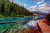 Sunken Logs in a Crystal Clear Mountain Lake