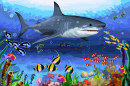 Shark and Flocks of Colorful Fish Illustration