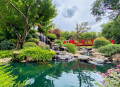 Waterfall and Red Bridge in Tropical Garden