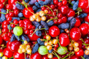 Ripe Summer Berries Close-Up