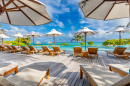 Swimming Pool at a Tropical Resort
