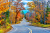A Winding Road in Autumn, Door County, WI, USA