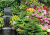Colorful Flowers and Waterfall in a Greenhouse