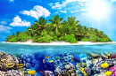 Tropical Atoll and Amazing Underwater World