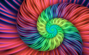 Infinite Fractal Patterns and Shapes