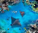 Underwater World