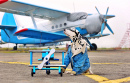 A Dalmatian Pilot