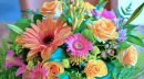 A Colourful Mix of Vibrant Spring Flowers