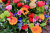 Mixed Flower Arrangement