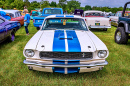 1965 Ford Shelby Mustang Gt350, Iola, WI, USA