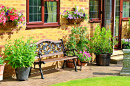 Cozy Backyard with a Bench