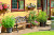 Cozy Backyard with a Bench