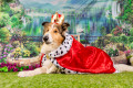 Princess Morgan