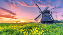 Windmill at Sunset, East Friesland, Germany