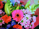 Bright Flowers