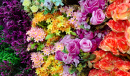 Colorful Artificial Flowers
