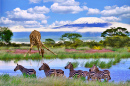 Amboseli National Park, Kenya