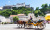 Horse-Drawn Carriage in Salzburg, Austria