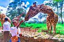 Karen Giraffe Centre, Nairobi, Kenya
