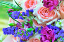 Beautiful Flowers