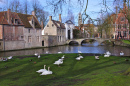 Beguinage Enclosure in Bruges, Belgium