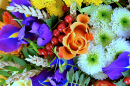 Closeup of Colorful Flower Arrangement